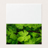 Groene wijnstokken kaart (Buitenkant ongevouwen)