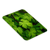 Groene wijnstokken magneet (Rechterzijde)