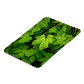 Groene wijnstokken magneet (Linkerzijde)