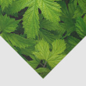 Groene wijnstokken tissuepapier (Detail)