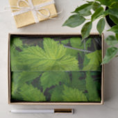 Groene wijnstokken tissuepapier (Geschenk)