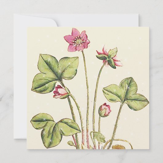 Groene Wilde Bloem Eetkamer Uitnodigingen (Achterkant)