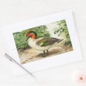 Groene wintertaling rechthoekige sticker (Envelop)