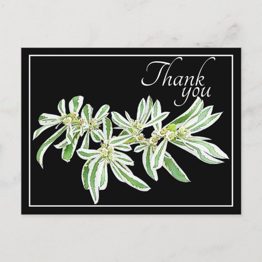 Groene & Witte Bladeren Zwarte Achtergrond Dank Je Briefkaart (Voorkant)