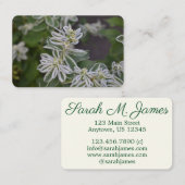  groene witte bloemen Floral Fern Garden Visitekaartje (Voorkant / Achterkant)