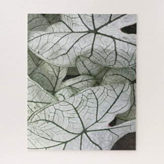 Groene witte caladium bladeren legpuzzel