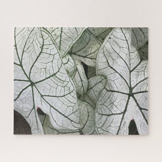 Groene witte caladium bladeren legpuzzel (Horizontaal)