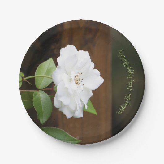 -groene witte en bruine Floral-ronde Papieren Bordje (Voorkant)