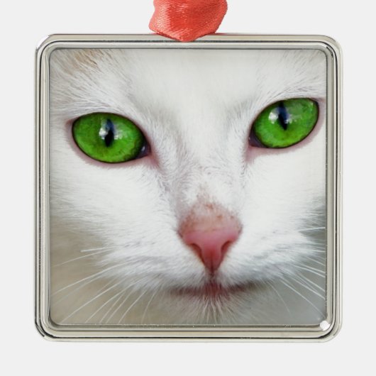 Groene witte kat metalen ornament (Voorkant)