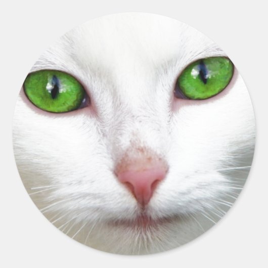 Groene witte kat ronde sticker (Voorkant)