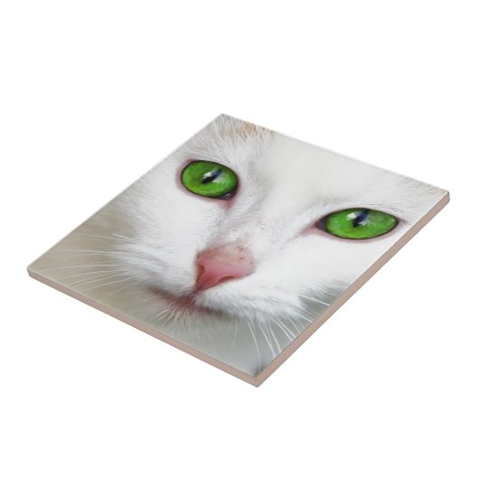 Groene witte kat tegeltje (Zijkant)