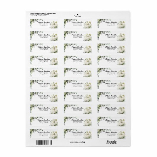 Groene Witte Pompoen Herfst Baby Borrel Etiket (Full Sheet)