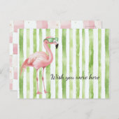 Groene Witte Strepen Roze Flamingo Beach Briefkaart (Voorkant / Achterkant)