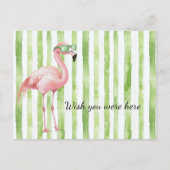 Groene Witte Strepen Roze Flamingo Beach Briefkaart (Voorkant)