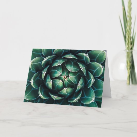 Groene & Witte Succulent Kaart (Voorkant)
