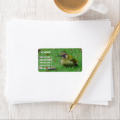 groene Woodpecker Adresetiketten Etiket (Insitu)