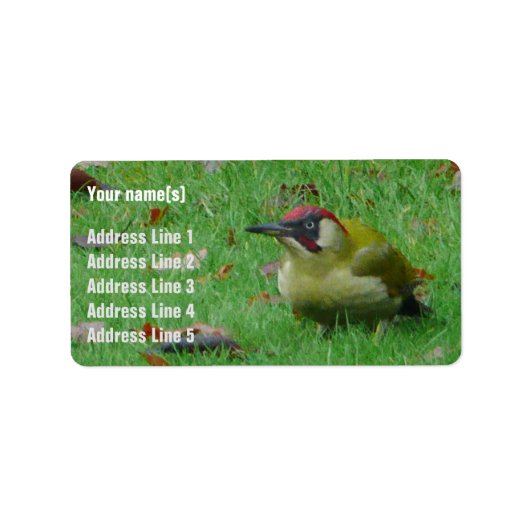 groene Woodpecker Adresetiketten Etiket (Voorkant)