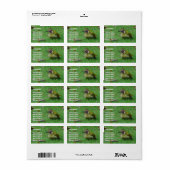groene Woodpecker Adresetiketten Etiket (Full Sheet)
