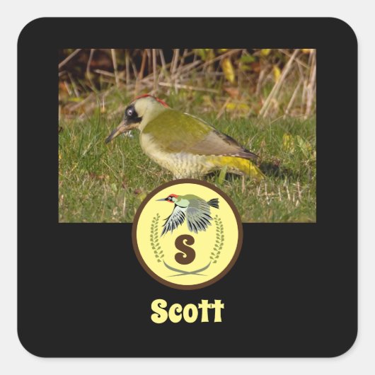 Groene Woodpecker Name Tag Fotomonogram Vierkante Sticker (Voorkant)