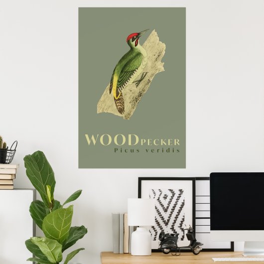 Groene Woodpeckervogelvintage Poster (Thuiskantoor)