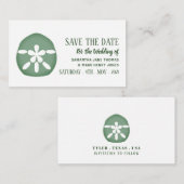 Groene zanddollar, sparen de Datum Informatiekaartje (Voorkant / Achterkant)