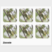 Groene zangvogel in Canada Vierkante Sticker (Vel)