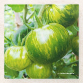 Groene Zebra Heirloom Tomaten op wijn Glazen Onderzetter (Voorkant)