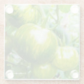 Groene Zebra Heirloom Tomaten op wijn Glazen Onderzetter (Achterkant)