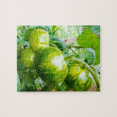 Groene Zebra Heirloom Tomaten op wijn Legpuzzel (Horizontaal)