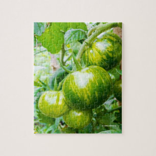 Groene Zebra Heirloom Tomaten op wijn Legpuzzel