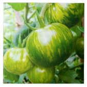 Groene Zebra Heirloom Tomaten op wijn Tegeltje (Voorkant)