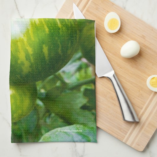 Groene Zebra Heirloom Tomaten op wijn Theedoek (Quarter Fold)
