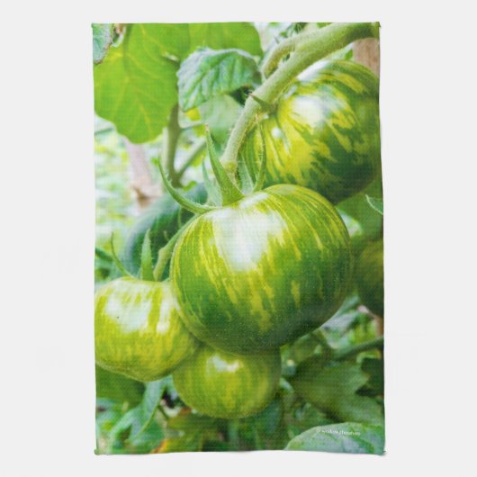 Groene Zebra Heirloom Tomaten op wijn Theedoek (Verticaal)