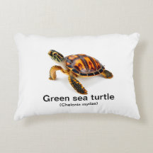 Groene zee schildpad