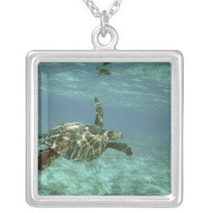 Groene Zee schildpad (Chelonia mydas), Kona Coast, Zilver Vergulden Ketting