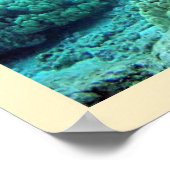 Groene zee schildpad (Chelonia mydas) Poster (Hoek)