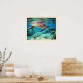 Groene zee schildpad (Chelonia mydas) Poster (Keuken)