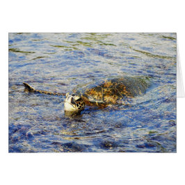 Groene Zee schildpad, Hawaii, Kaart