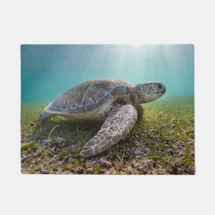 Groene Zee schildpad in duusk Akumal Bay Deurmat