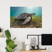 Groene Zee schildpad in duusk | Akumal Bay Poster (Thuiskantoor)
