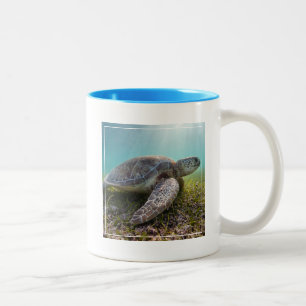 Groene Zee schildpad in duusk Akumal Bay Tweekleurige Koffiemok