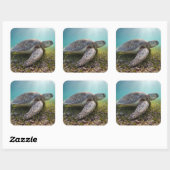 Groene Zee schildpad in duusk | Akumal Bay Vierkante Sticker (Vel)