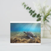Groene zee schildpad ontspannend onder water briefkaart (Staand voorkant)