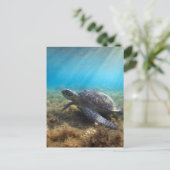 Groene zee schildpad ontspannend onder water briefkaart (Staand voorkant)