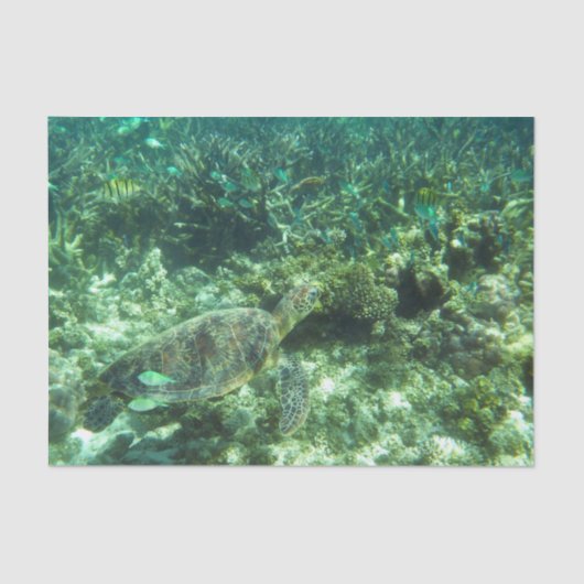 Groene Zee schildpad, tropische vis en koraal Tissuepapier (Voorkant)