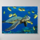 Groene Zee schildpad, wees vrij Poster (Voorkant)