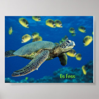 Groene Zee schildpad, wees vrij Poster