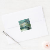 Groene Zee schildpad, Zee Planten, Maagdeneilanden Vierkante Sticker (Envelop)
