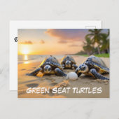 Groene zee schildpadden op het strand met gebarste briefkaart (Voorkant / Achterkant)