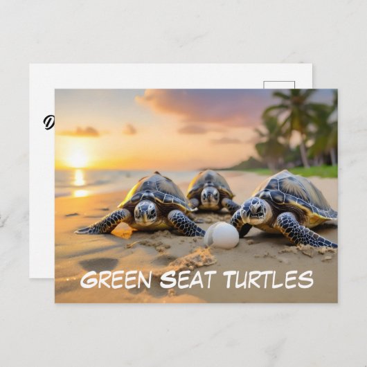 Groene zee schildpadden op het strand met gebarste briefkaart (Voorkant / Achterkant)